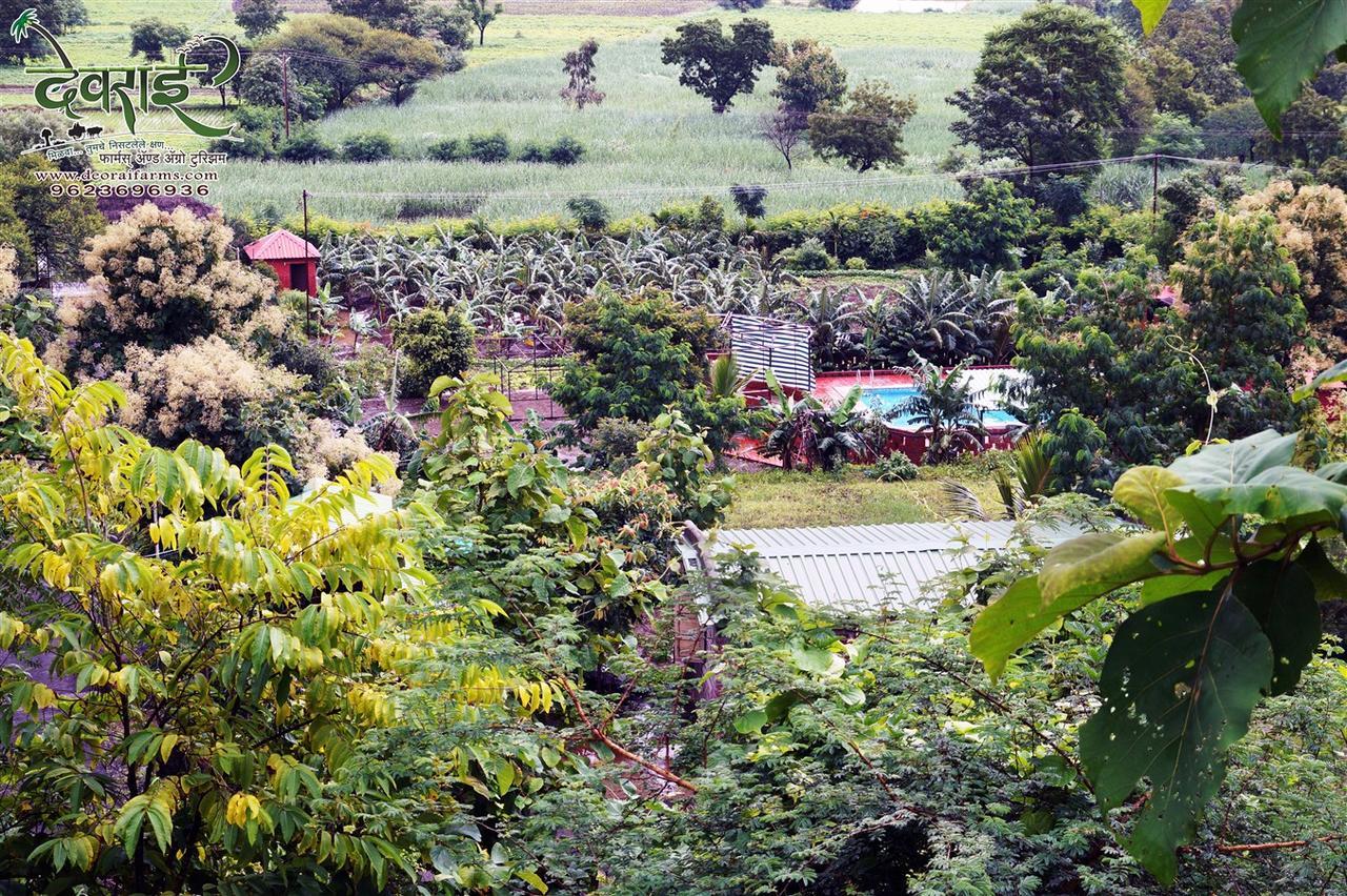 Deorai Farms And Agro Resort Пюн Екстериор снимка